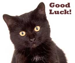 cat with good luck