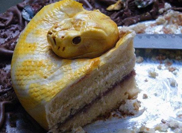 12-amazing-shaped-cake