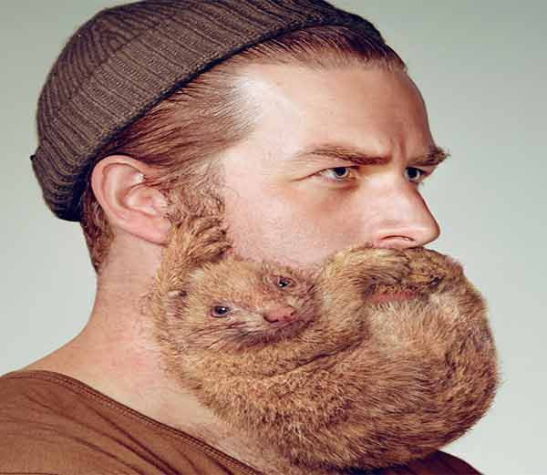 creative beard