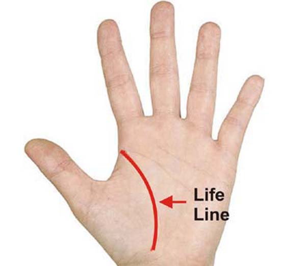 life line 1