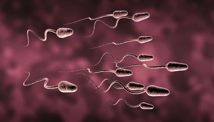 sperm-quality