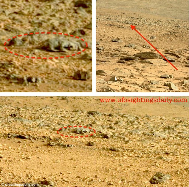 मंगल ग्रहमा भेटियो छेपारो, क्युरियोसिटीले खिच्यो फोटो…(तस्विरसहित)