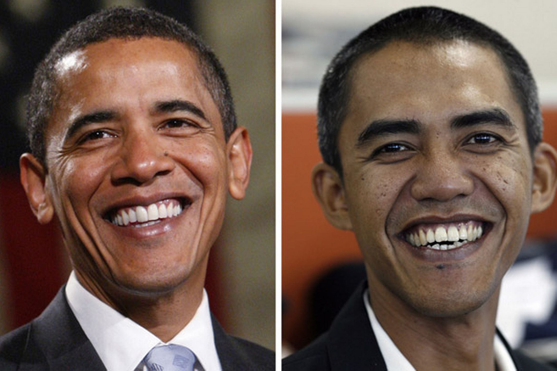 На сколько похожи на друг друга. Барак Обама и его двойник. Барак Обама и клон. Похожие люди. Люди похожие на знаменитостей.