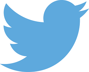 Twitter to cut 9% of staff, plots new growth strategy