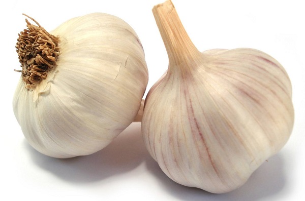 Garlic pp