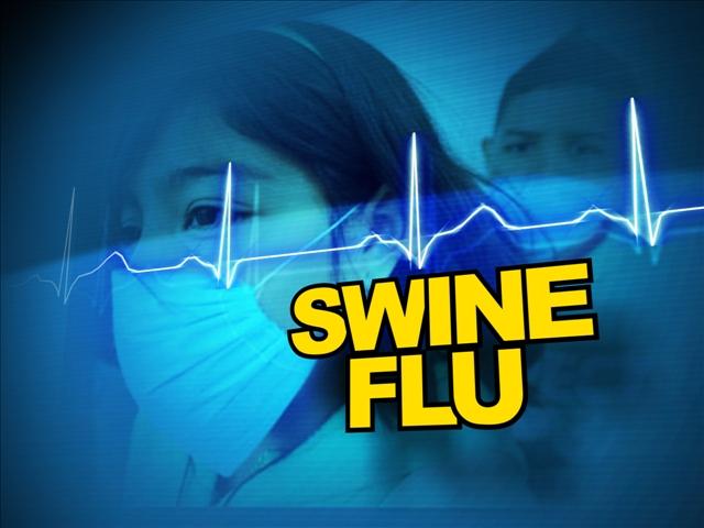 Swine flu detected in 12 people in Bara
