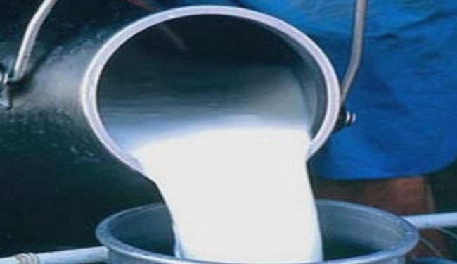 Milk production worth Rs 70 million recorded in Arghakhanchi annually