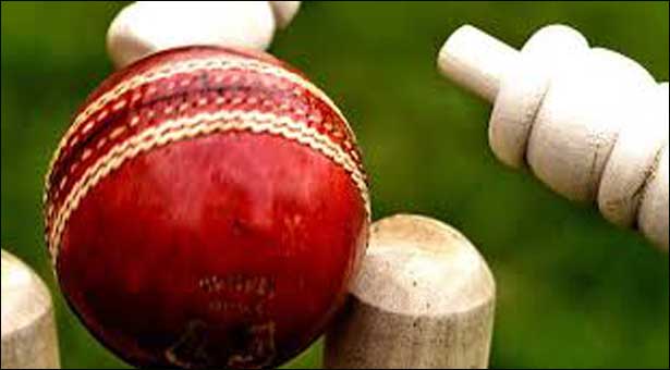 Spark Cricket Training Centre established in Dhangadhi