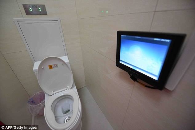 China high tech toilets (3)