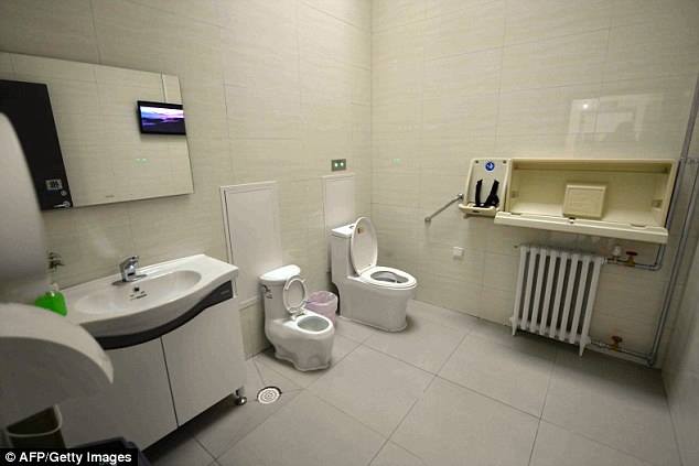 China high tech toilets (7)