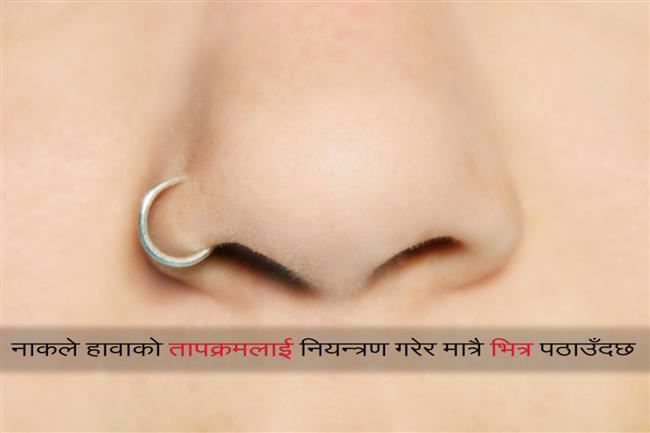 Surprising Facts about Nose (2)