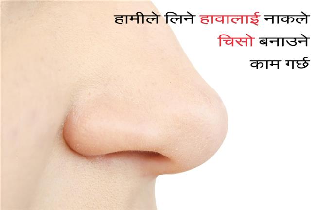 Surprising Facts about Nose (6)