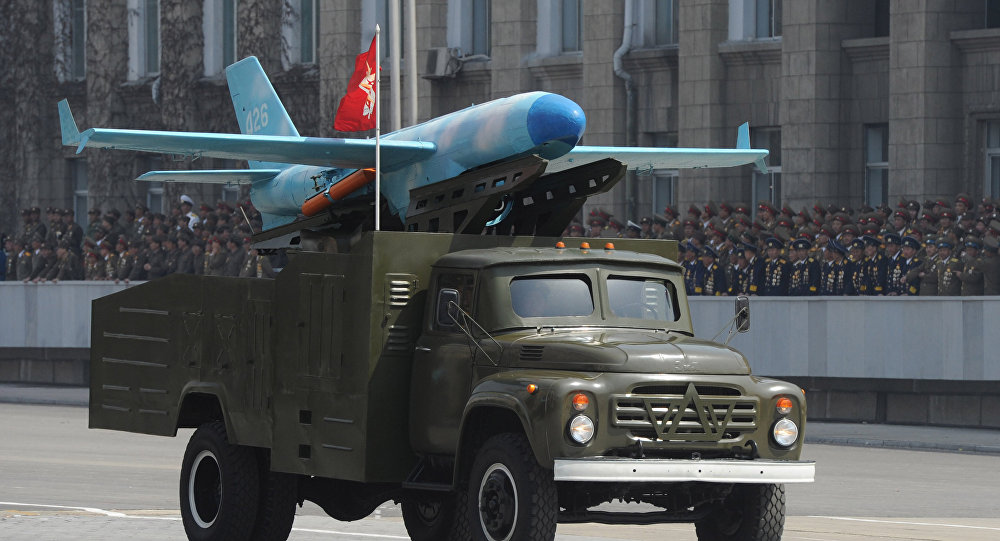 N Korea missile system