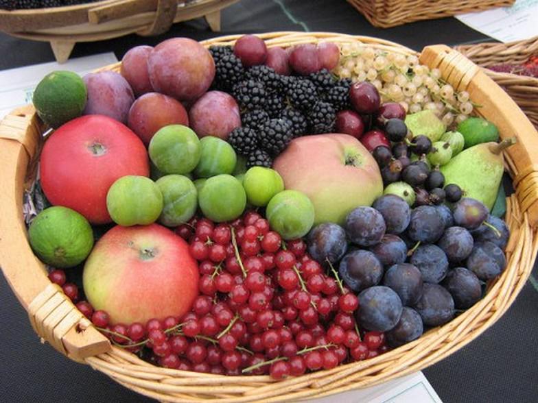 basket of Fruits