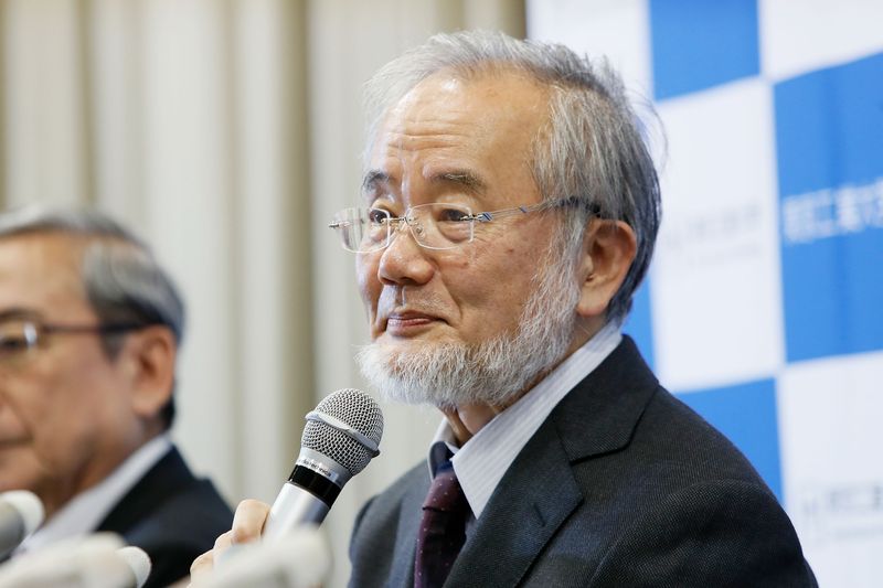 Japanese Scientist Wins Nobel Prize for Medicine