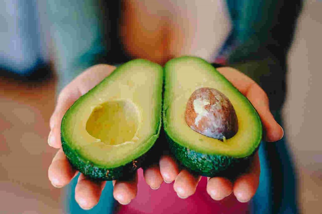 avocado fruit benefits एभोकाडो